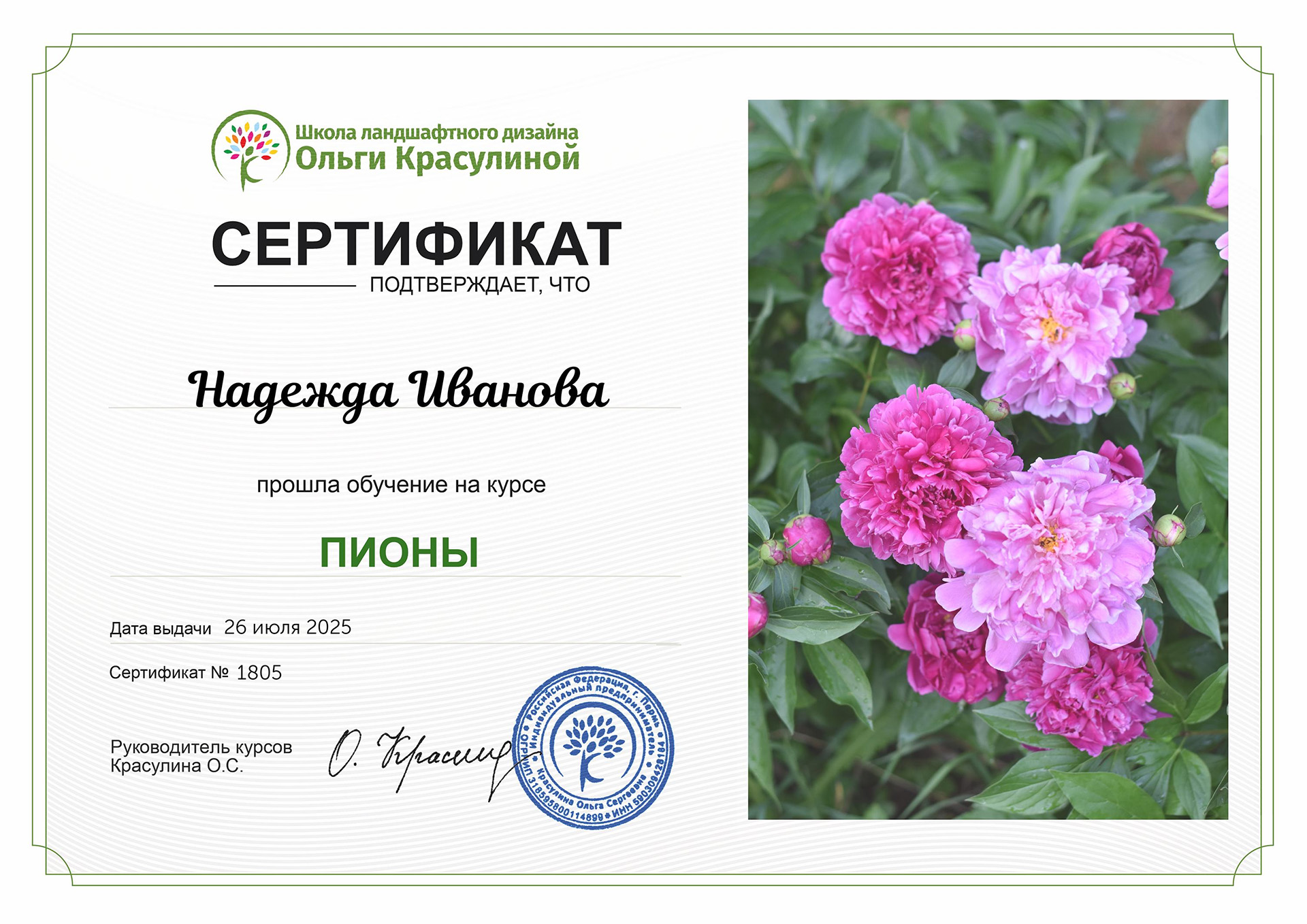 Сертификат NG Studio 10