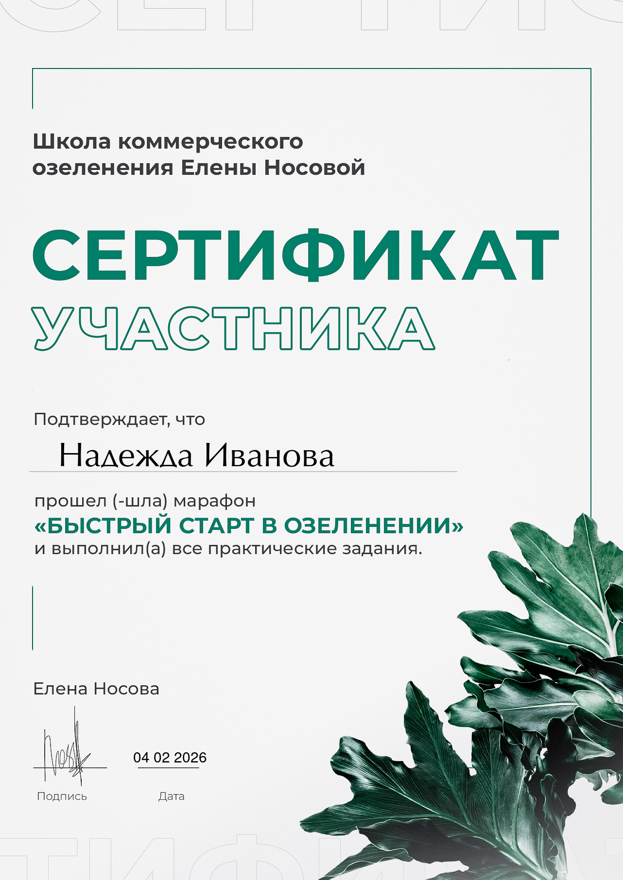 Сертификат NG Studio 9
