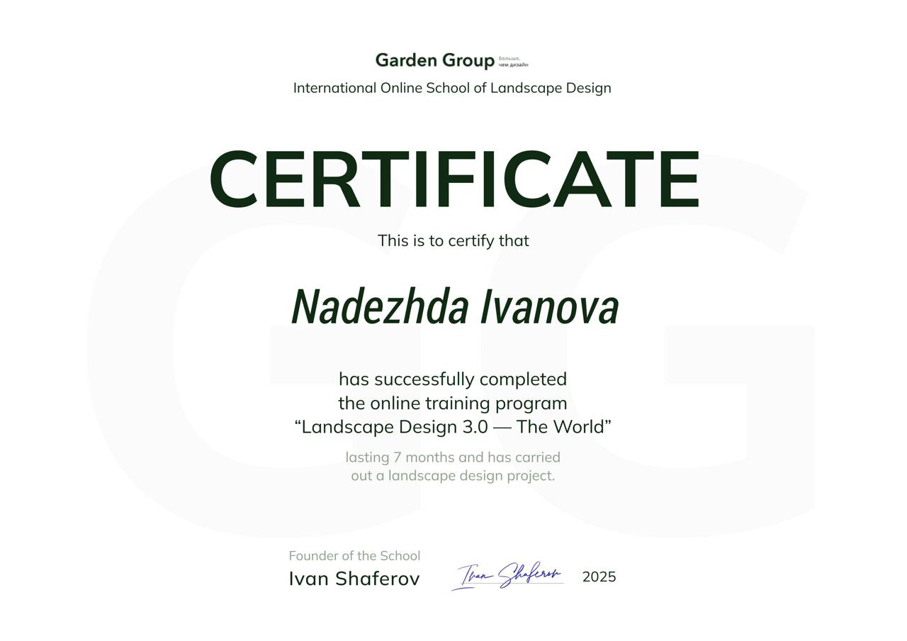 Сертификат NG Studio 2