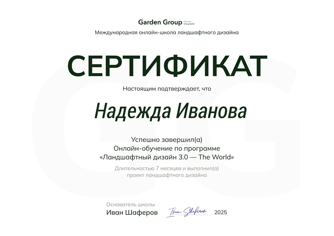 Сертификат NG Studio 1