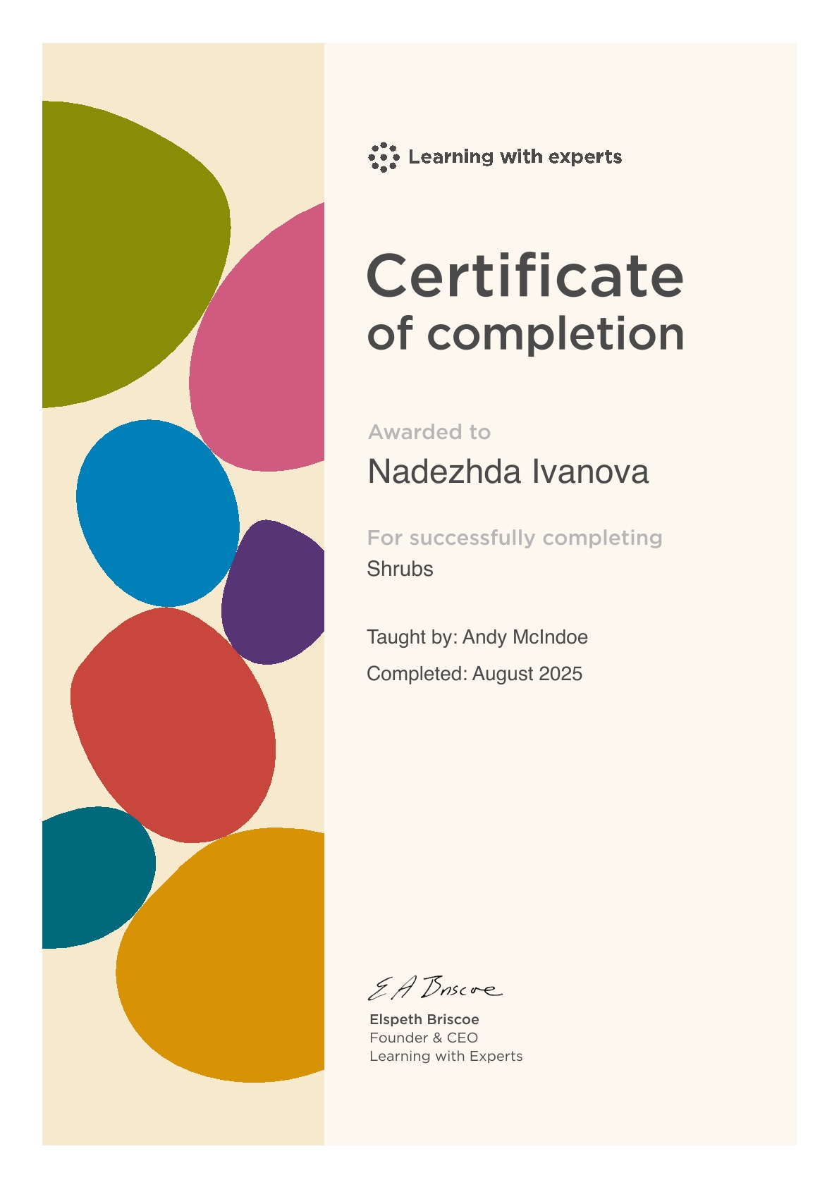 Сертификат NG Studio 8