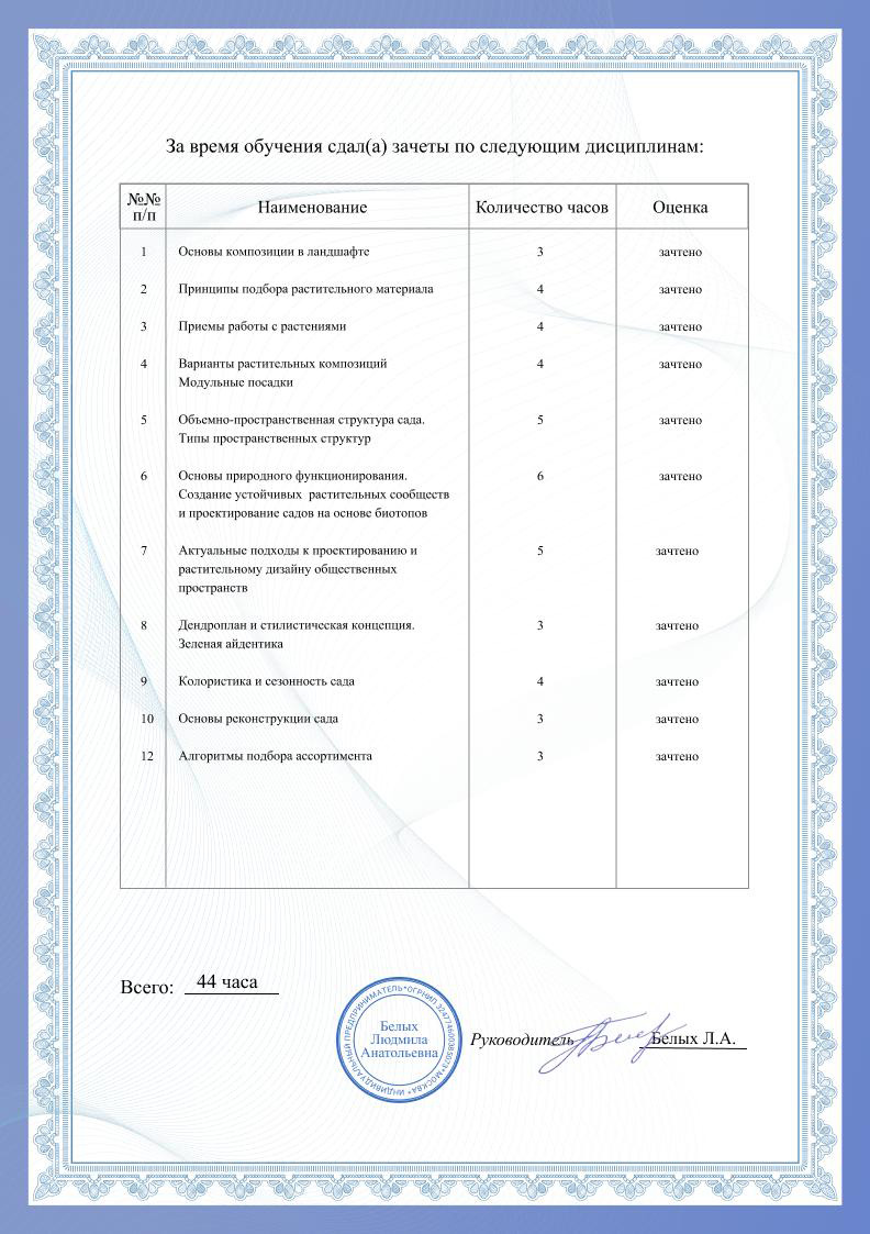 Сертификат NG Studio 4